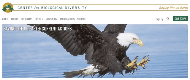 Center for Biological Diversity website: Saving Life on Earth, Current Actions, with a bald eagle diving toward the water